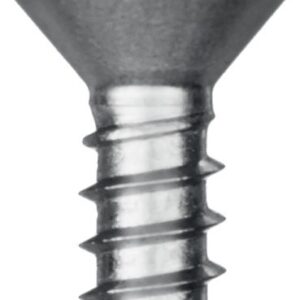 KRAFTOOL DS-C, 19 х 3.9 мм, А2, сверло, потайная головка, ТХ15, 750 шт, саморез нержавеющий (300932-39-019) — изображение 1