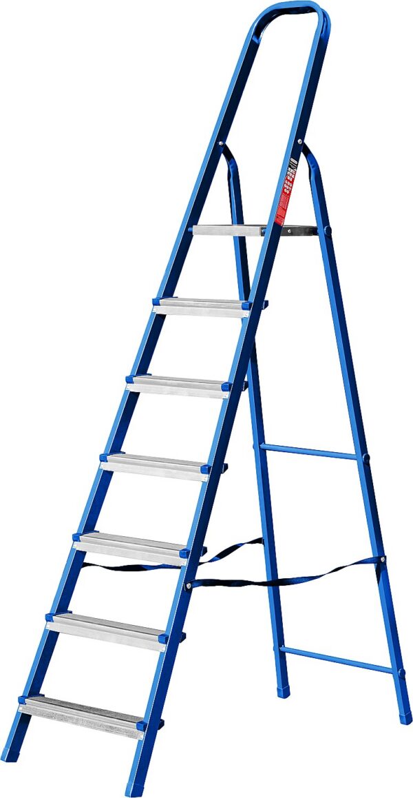 8253594