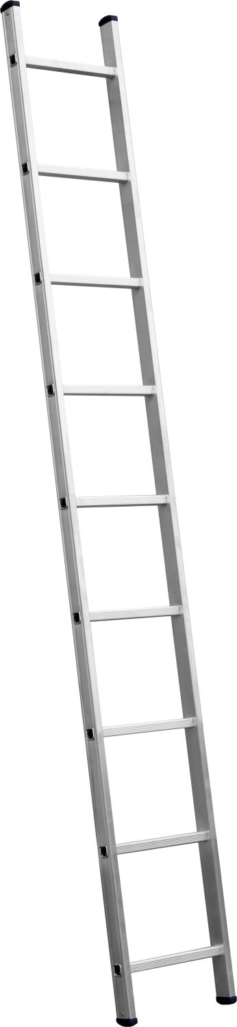 8285019